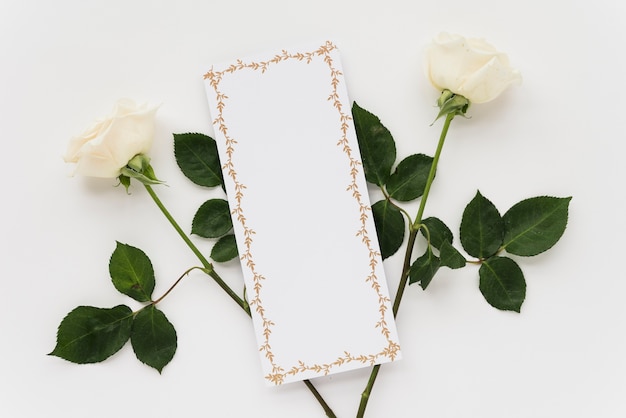 High angle view of blank card with two roses on white background