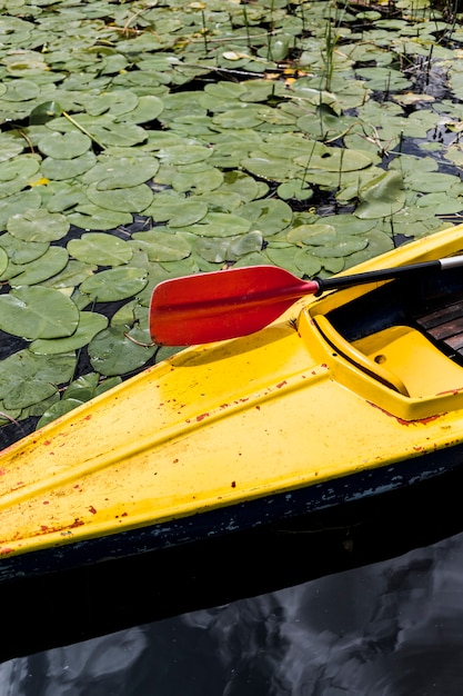 High angle view of canoe with red paddle oar floating on lake with lily pads