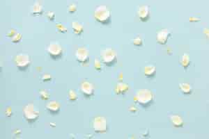 Free photo high angle view of delicate white petals on blue background