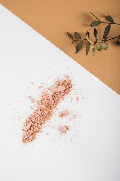 High angle view of face powder and plant on dual colored background