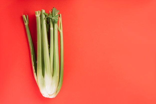 High angle view of fresh chard on red backdrop