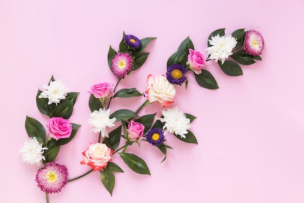 High angle view of fresh flowers on pink background
