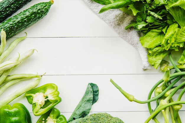 High angle view of fresh organic green vegetables