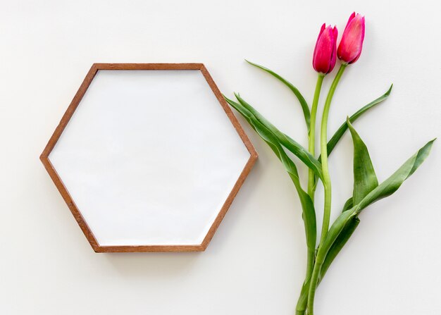 High angle view of hexagon shape picture frame and red tulip flower over white surface