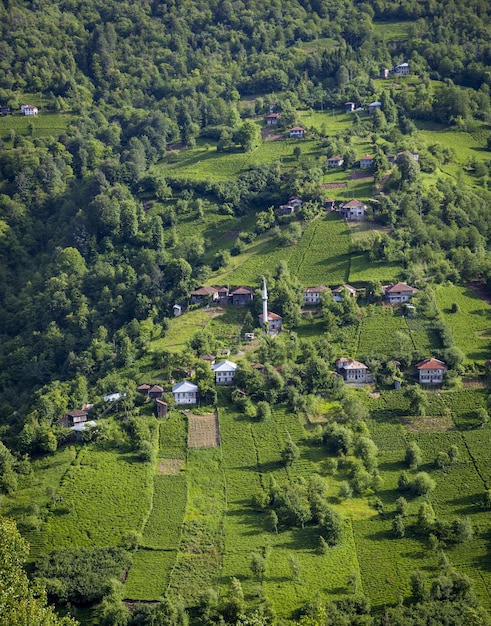 High angle view of hills covered in forests and buildings under the sunlight