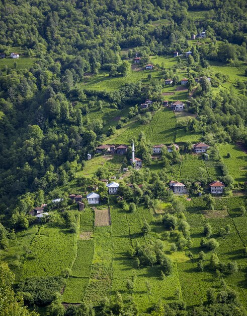 High angle view of hills covered in forests and buildings under the sunlight