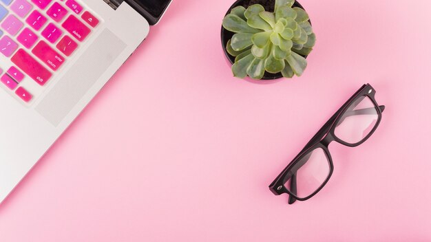 High angle view of laptop; spectacles and potted plant on pink background