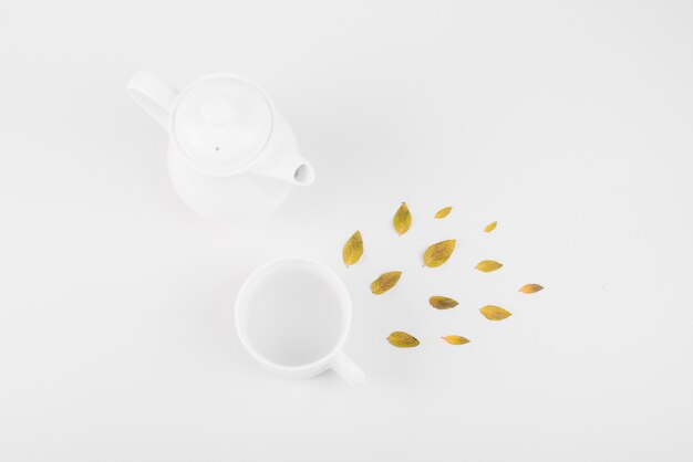 High angle view of leaves; tea cup and teapot on white backdrop