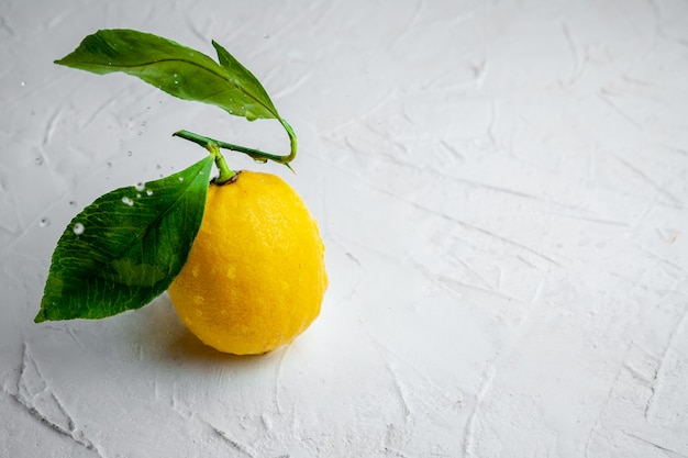 High angle view lemon with leaves on white textured background. horizontal space for text