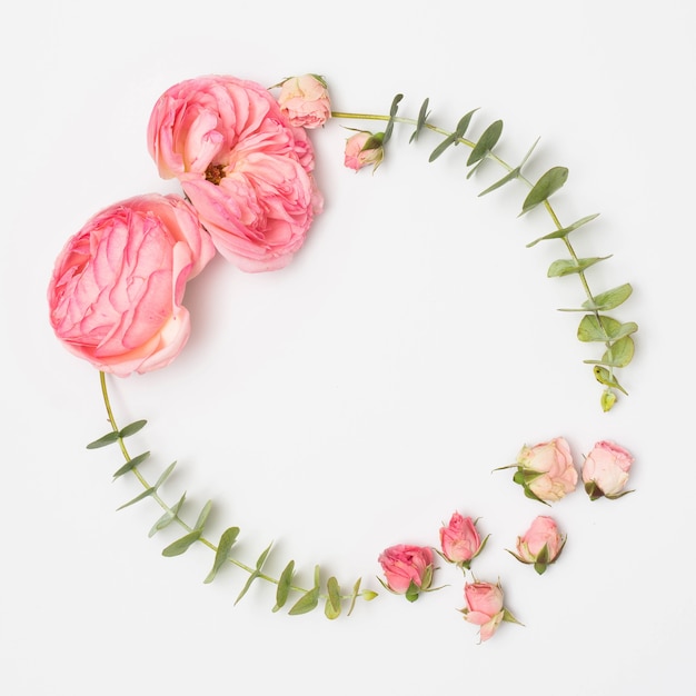 High angle view of peony flowers and rose buds with eucalyptus leaves