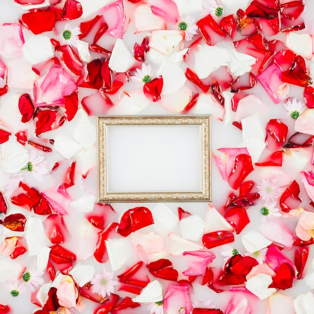 High angle view of picture frame and flower petals floating on milk