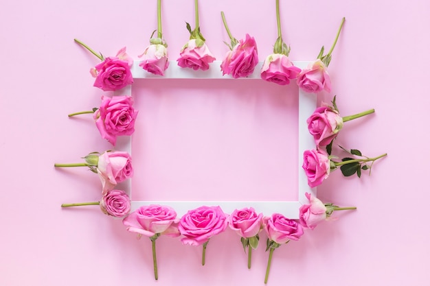 Free photo high angle view of pink flowers surrounding frame on pink backdrop