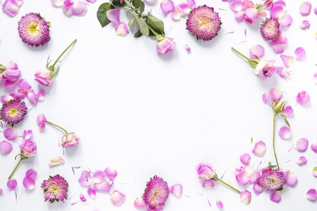 白い背景にピンクの花の高い角度の光景