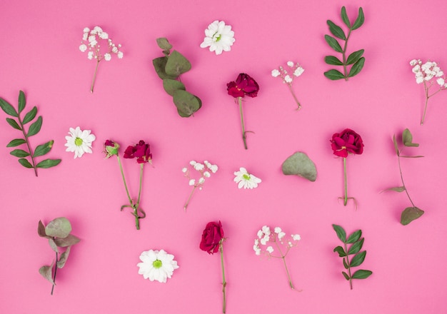 High angle view of red rose; white daisy flowers; baby's breath and leafs on pink background