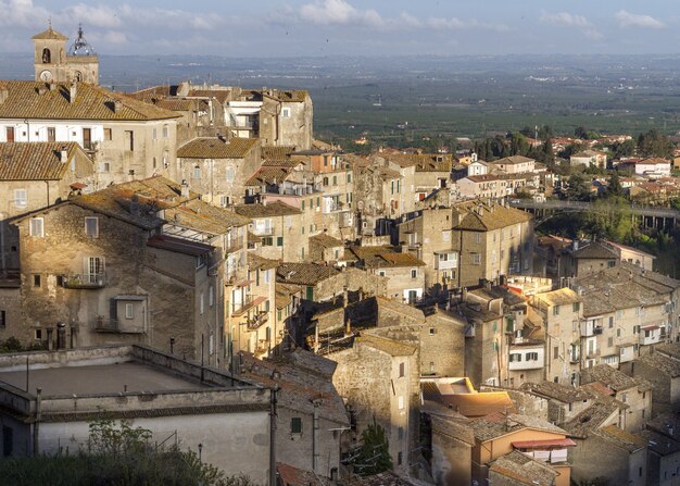 イタリア、カプラローラの町の住宅の高角度ビュー