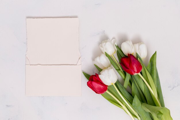 High angle view of tulip flowers with blank paper above concrete background