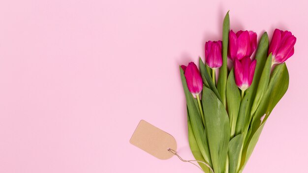 High angle view of tulip flowers with price tag on pink backdrop