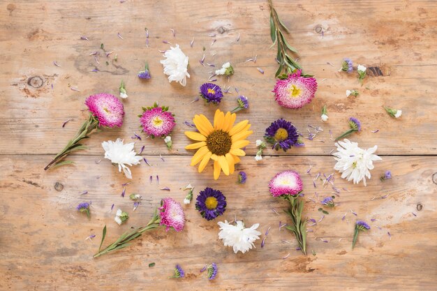 High angle view of various colorful flowers on wooden background