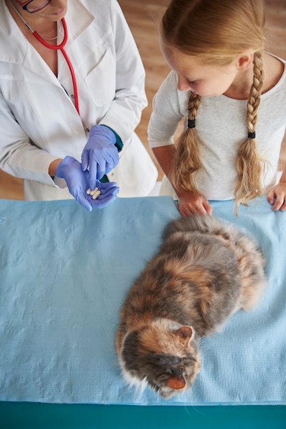 Veduta dall'alto sul cliente del veterinario