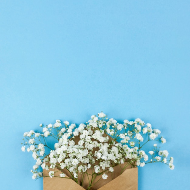 High angle view of white baby's breath flowers with brown envelop against blue background