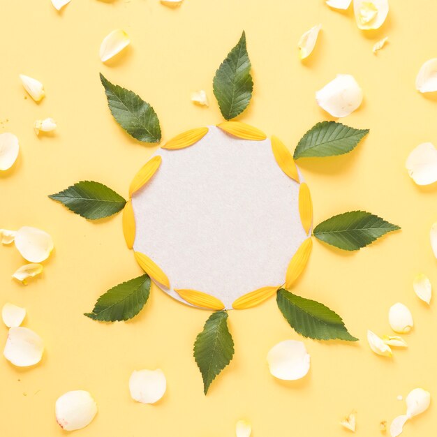 High angle view of white frame decorated with sunflower petals and leaves