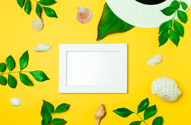 High angle view of a white frame whit green leaf and seashell 