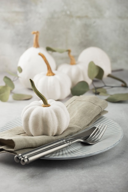 High angle white pumpkins and leaves arrangement