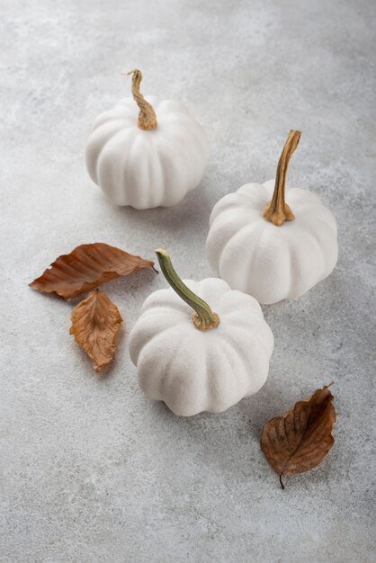 High angle white pumpkins and leaves