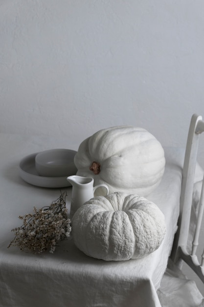 Free photo high angle white pumpkins and plants