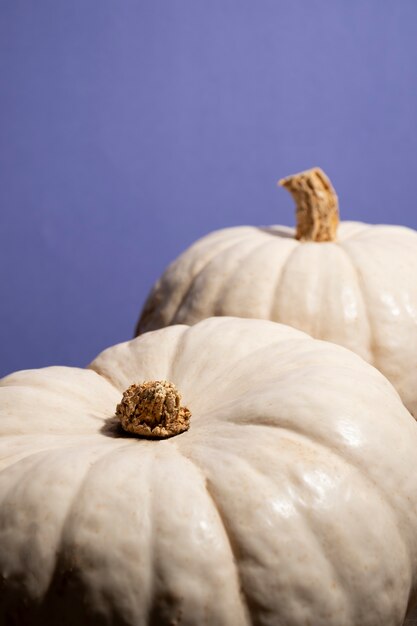 High angle white pumpkins with purple background