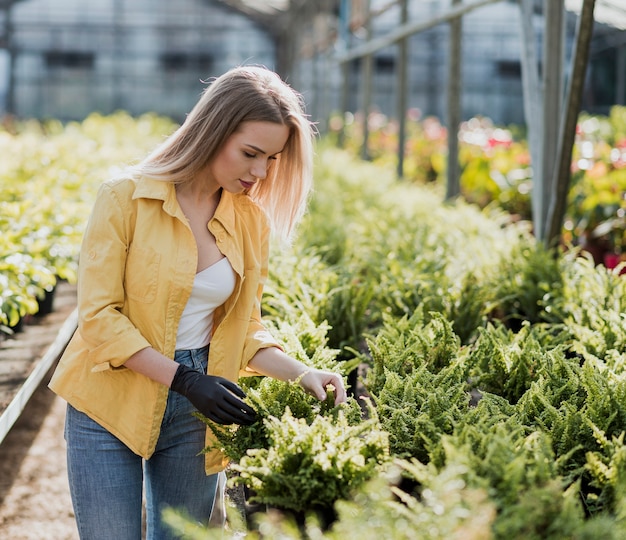 Free photo high angle woman in greenhouse