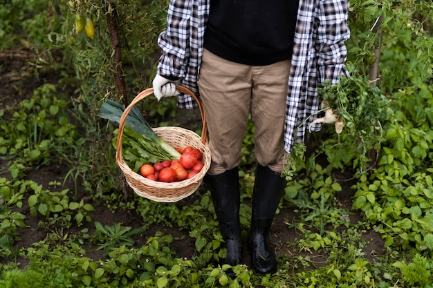 Free photo high angle woman holding basket