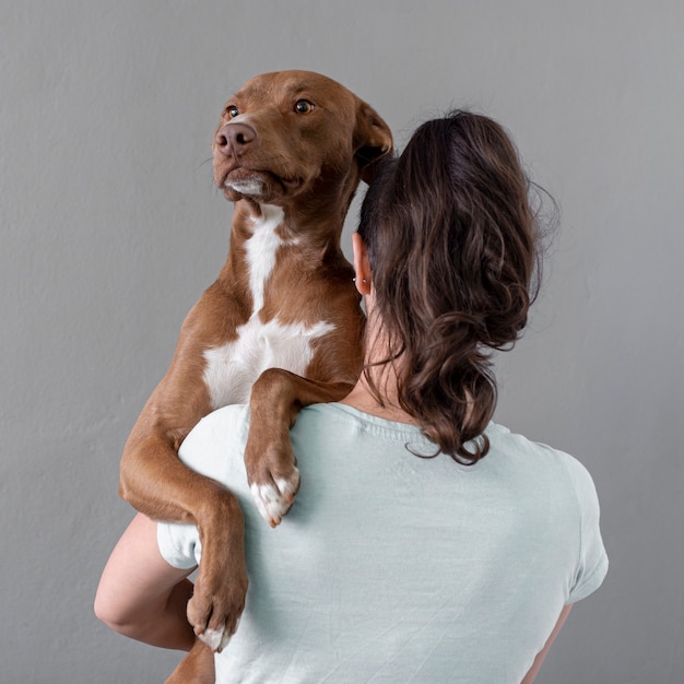 High angle woman holding dog