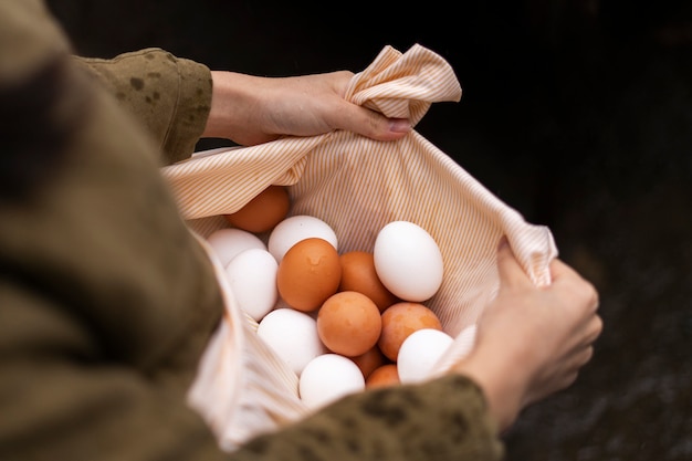 High angle woman holding eggs