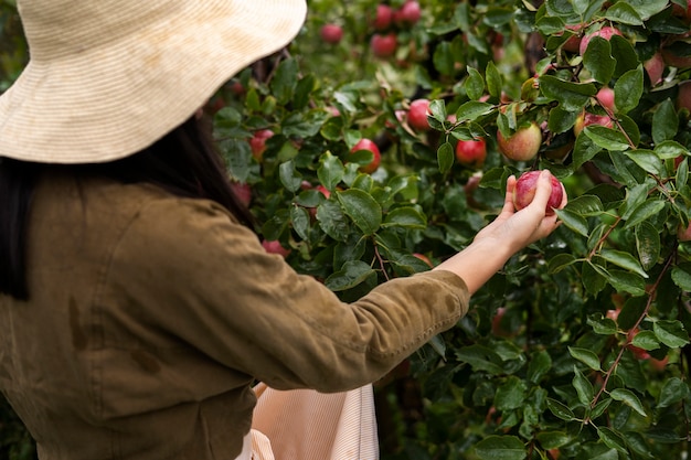 Foto gratuita frutta della holding della donna dell'angolo alto