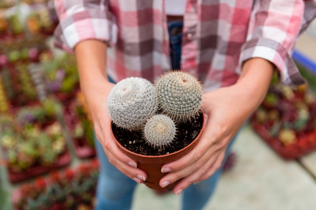 Vaso della tenuta della donna dell'angolo alto con il cactus