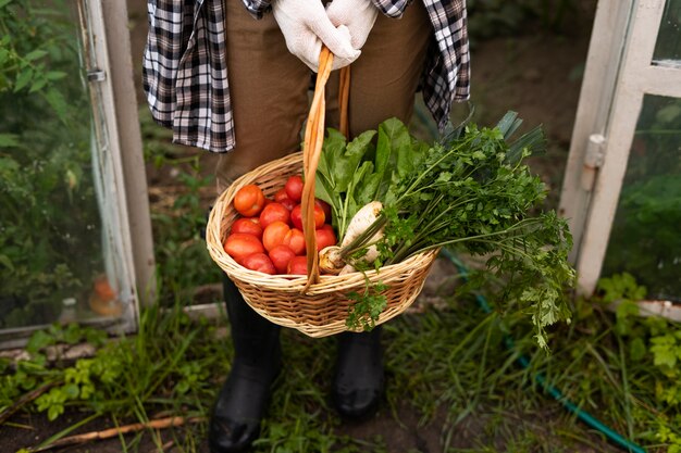 High angle woman holding vegetables basket