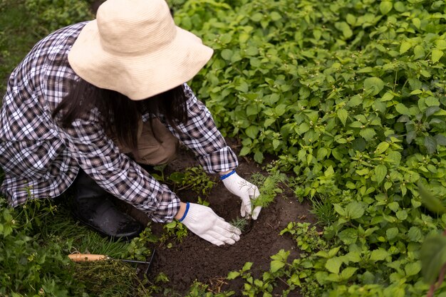 High angle woman taking care of plants
