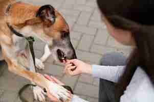 Foto gratuita cane da addestramento per donna ad alto angolo