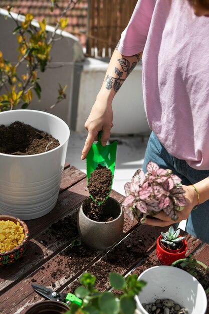 High angle woman transplanting plants