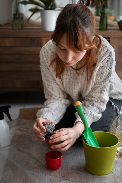 Free photo high angle woman transplanting small plant