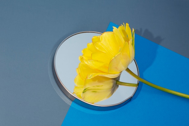 High angle yellow flower on mirror