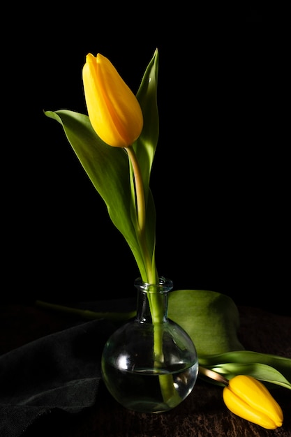 High angle yellow tulip in vase