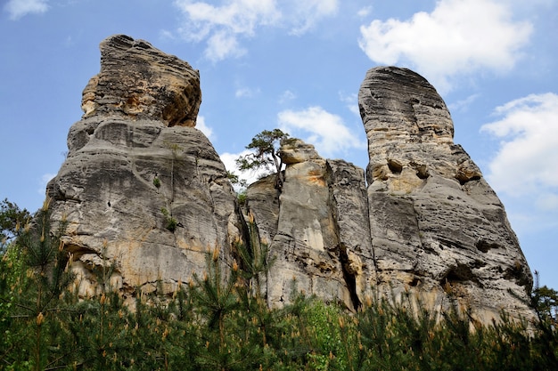 "High cliffs in woods"