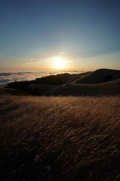 high hills covered in dry grass with the visible skyline on Mt. Tam in Marin, CA