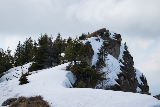 曇り空の下で雪に覆われた高い岩の崖