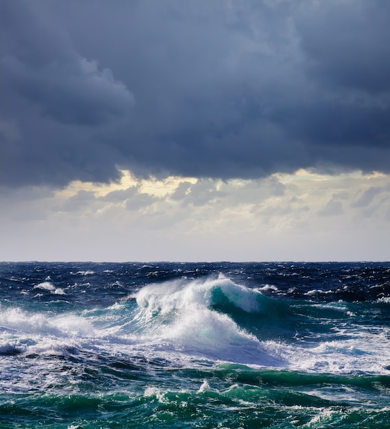 Foto gratuita alta onda del mare