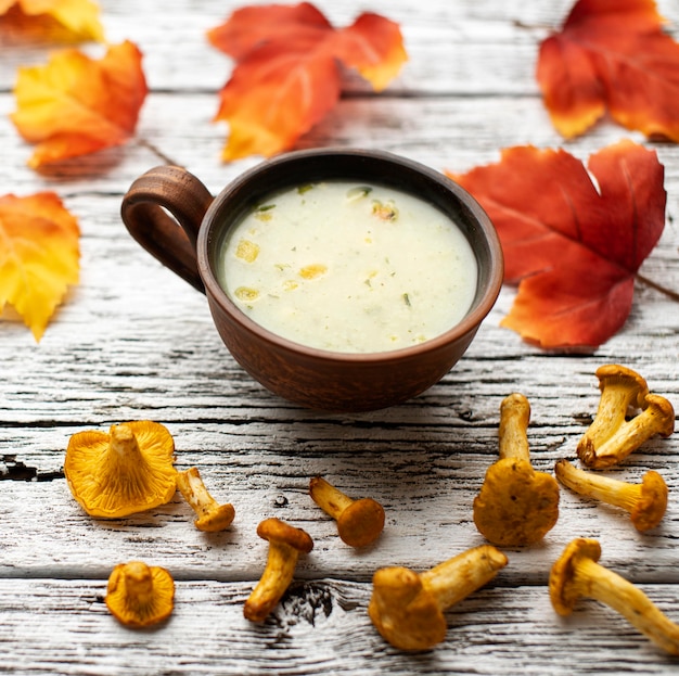 High view autumn mushroom soup