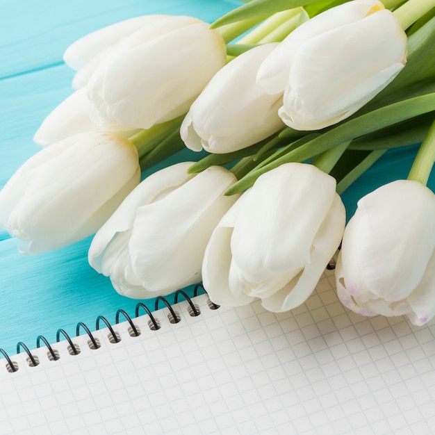 High view bouquet of tulip flowers close-up