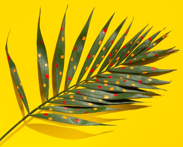 High view branch of fern leaves on yellow background